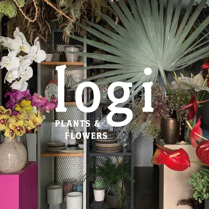 logi plants＆flowers POP-UP STORE / ラブレス　ニュウマン高輪店で2日間限定のイベント開催