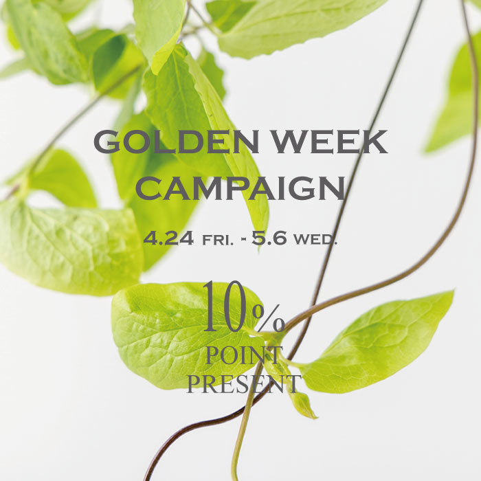 AMACA | GOLDEN WEEK CAMPAIGN 開催のお知らせ |