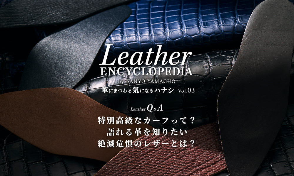 【Leather ENCYCLOPEDIA】革にまつわる気になるハナシ Vol.03 | 靴好き必見のスペシャルレザー