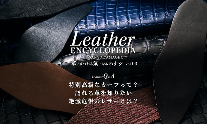 【Leather ENCYCLOPEDIA】革にまつわる気になるハナシ Vol.03 | 靴好き必見のスペシャルレザー
