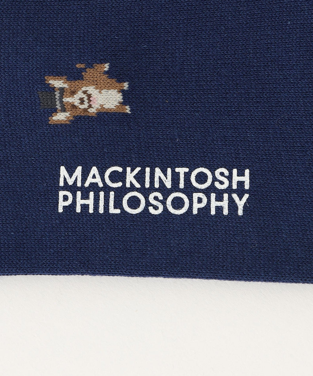 コーギー カジュアルソックス(その他)｜MACKINTOSH PHILOSOPHY