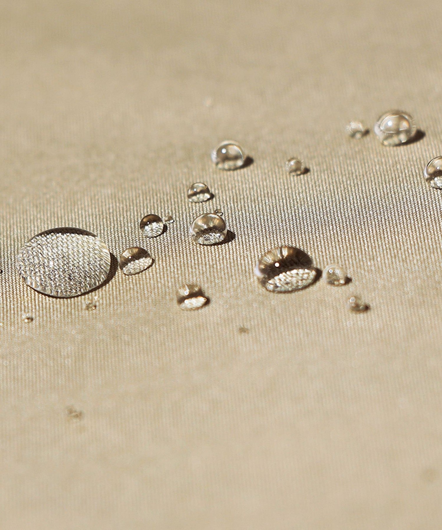 2111-T1A6601545__ZD,45,