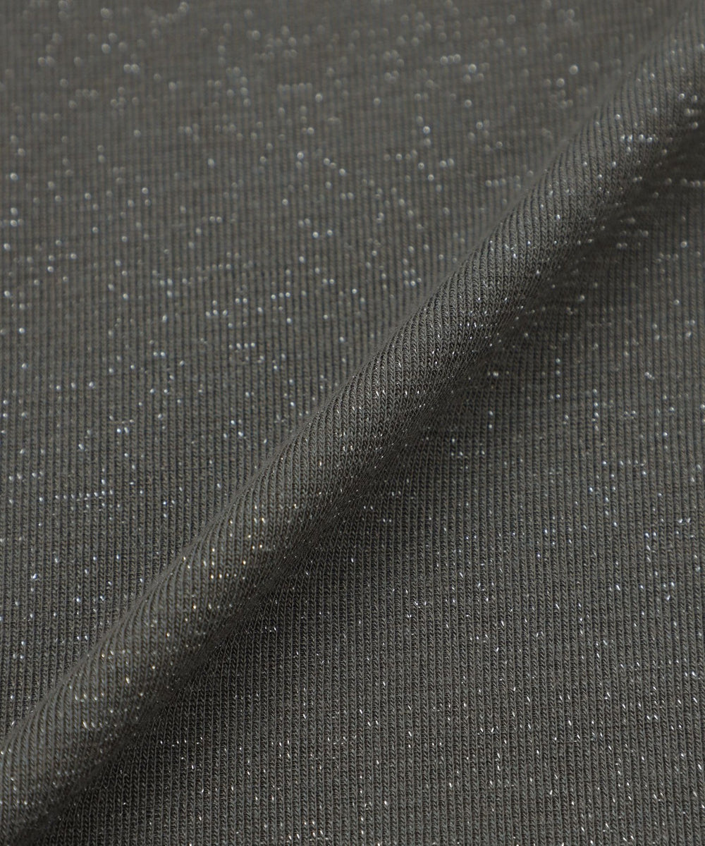 ウォッシャブル】シアーラメジャージーハイネックカットソー(トップス