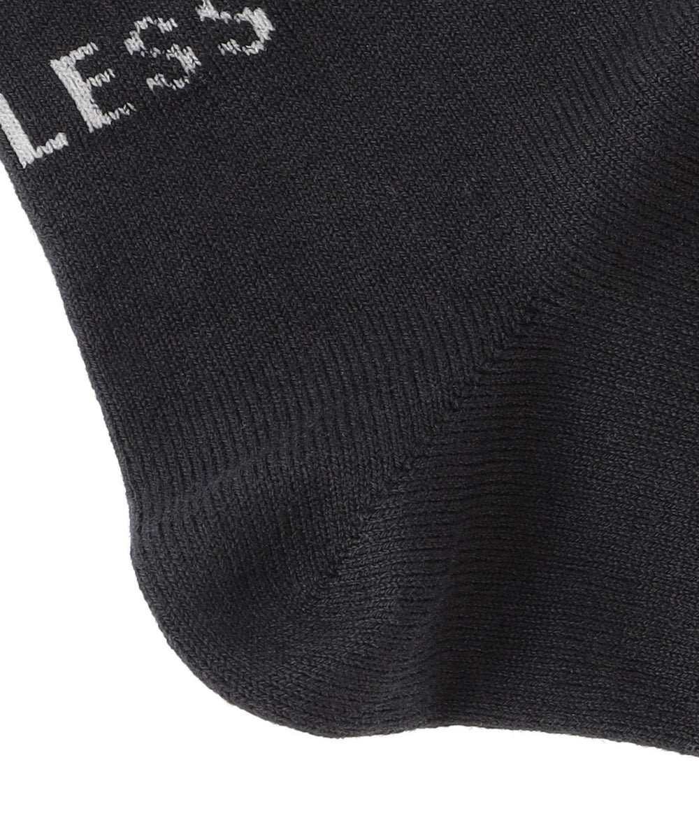 25AW EXCLUSIVE!!【Tabio/タビオ】「LOVELESS」ロゴソックス メンズ