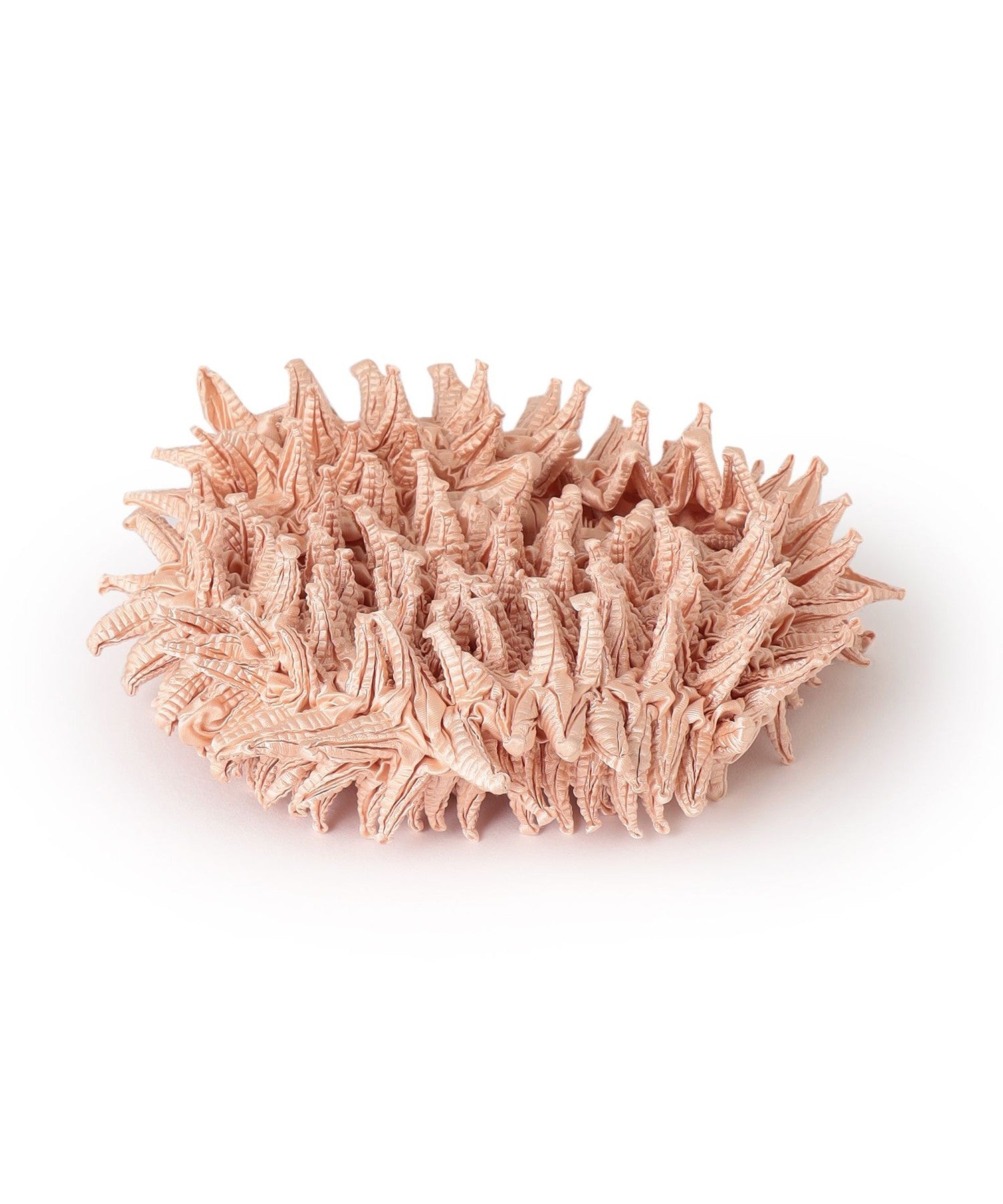 2352-6418055212__J,12,