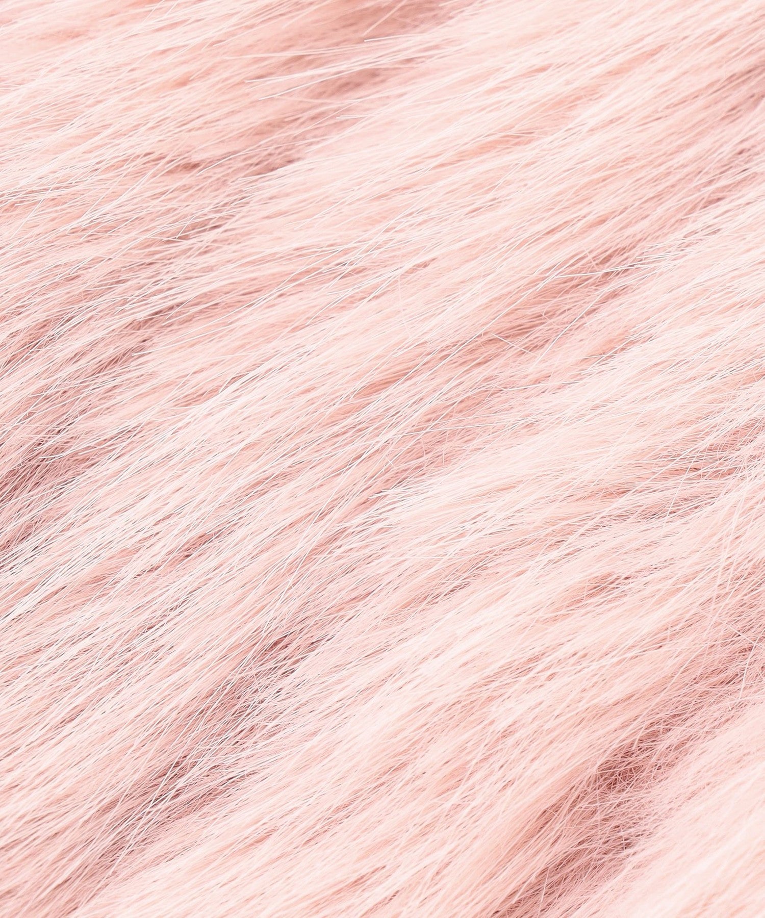 2352-6471945412__K,12,