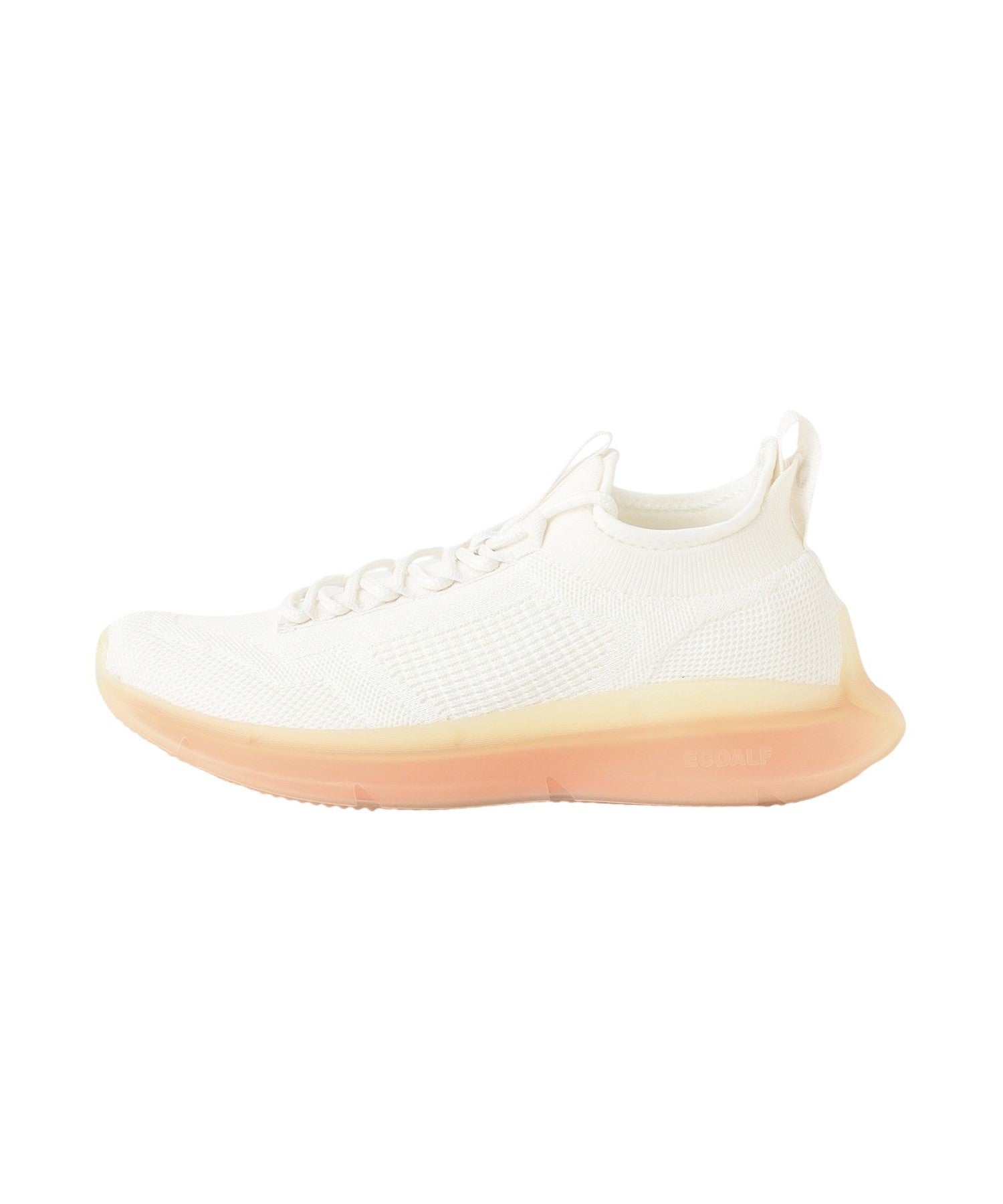 3651-4243664702__,02,