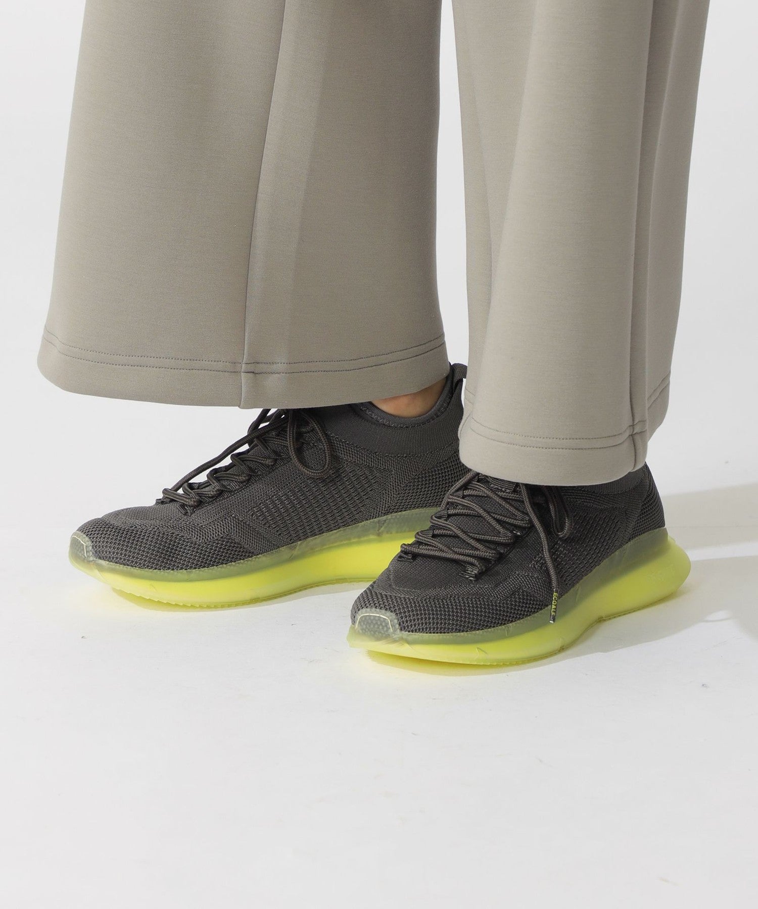 3651-4243664702__I,02,