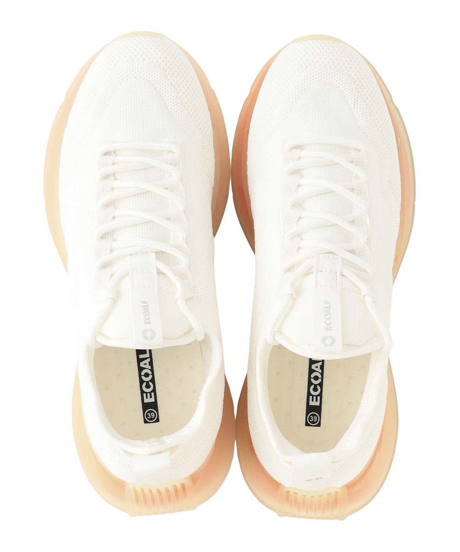 3651-4243664702__P,02,