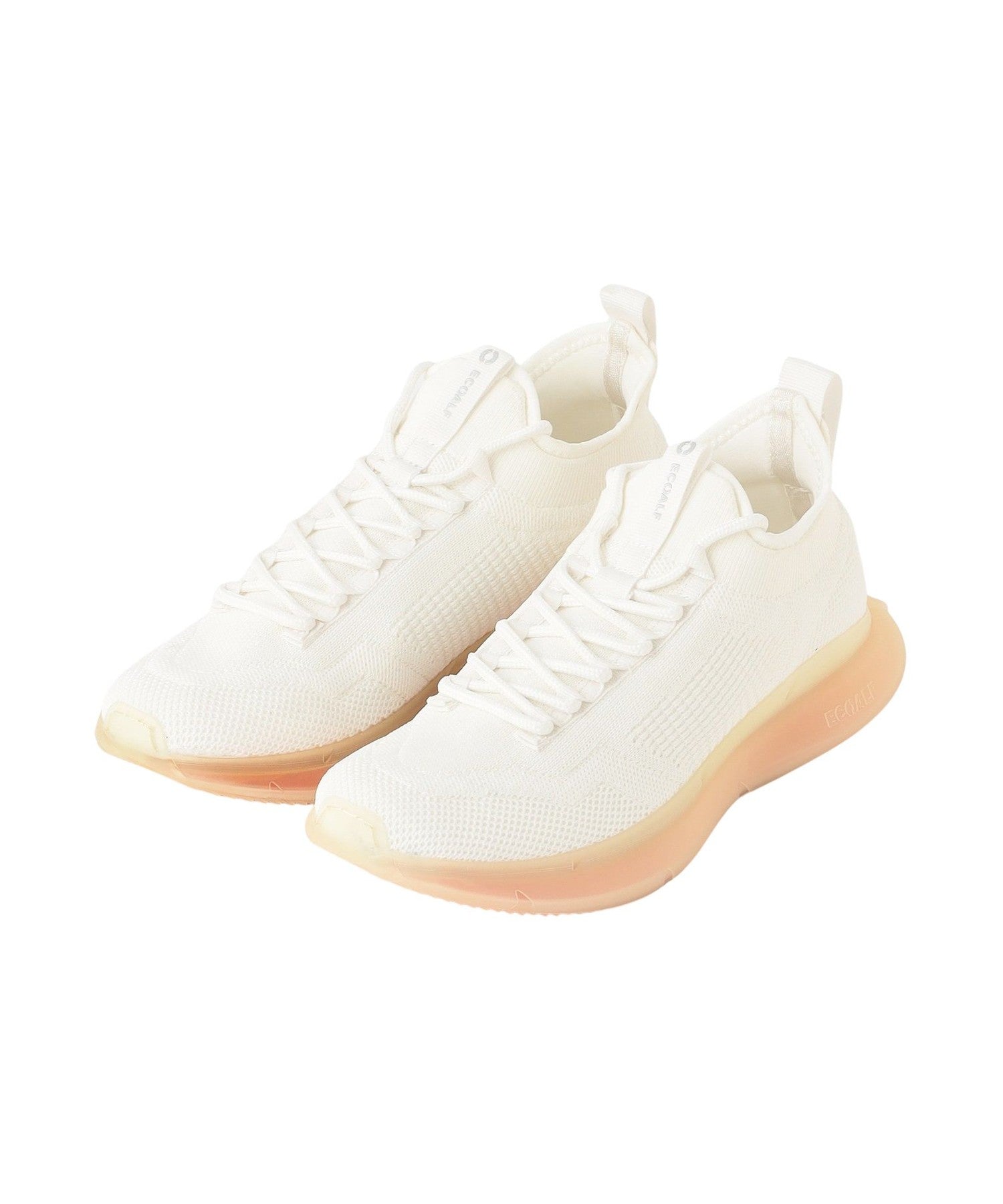 3651-4243664702__Q,02,