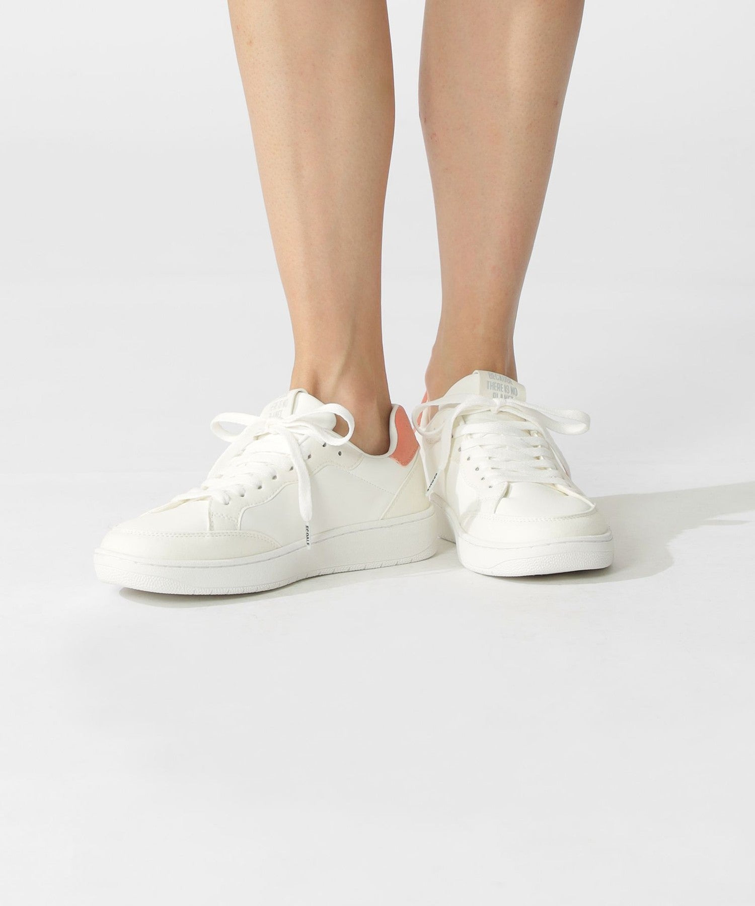 3651-4243953313__H,13,