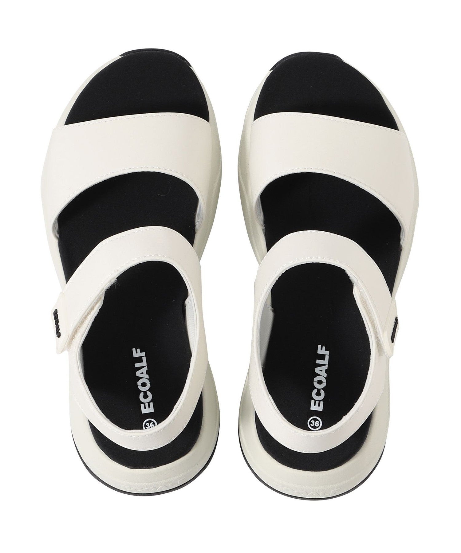 3651-4247150202__N,02,