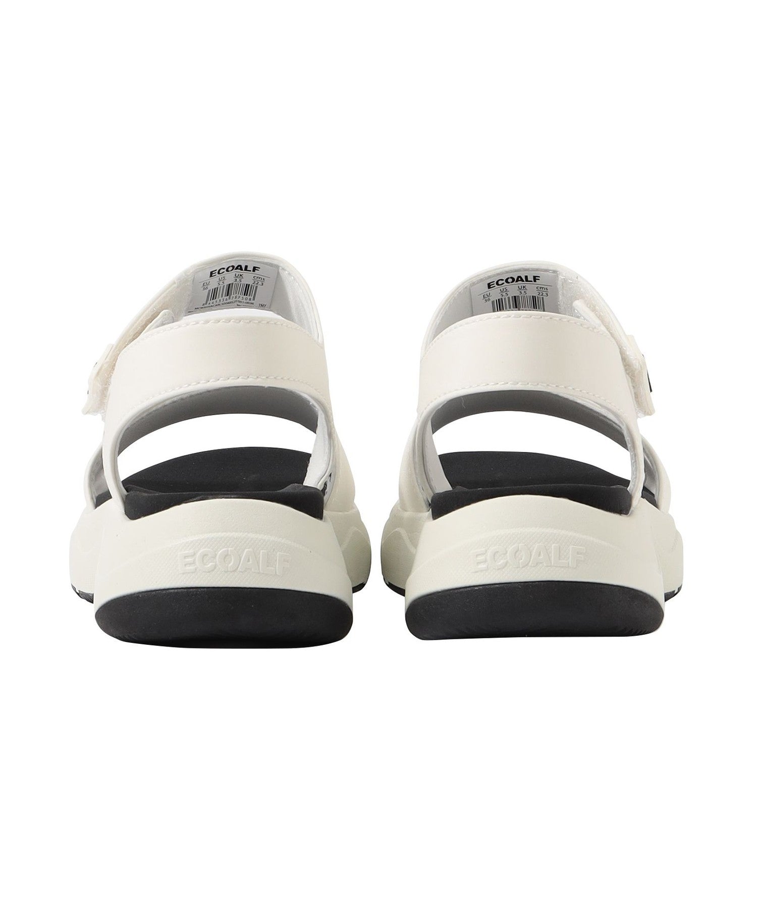 3651-4247150202__P,02,